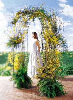  K�z�lay �i�ek online �i�ek sipari�i  g�ller ve mevsim �i�egi 