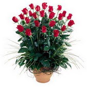  Ankara Kızılay çiçek yolla , çiçek gönder , çiçekçi   10 adet kirmizi gül cam yada mika vazo