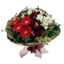  Ankara K�z�lay �nternetten �i�ek sipari�i  gerbera ve mevsim demeti
