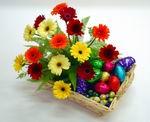  K�z�lay �i�ek g�nderme  sepette gerbera �i�ekleri 
