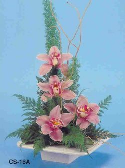  Ankara Kızılay online çiçek gönderme sipariş  vazoda 4 adet orkide 