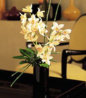  Ankara Kzlay iek servisi , ieki adresleri  cam yada mika vazo ierisinde dal orkide