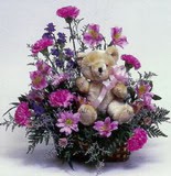  K�z�lay �i�ek g�nderme  oyuncak ve mevsim �i�ekleri
