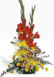 Ankara K�z�lay �i�ek yolla  glay�r ve mevsim �i�ekleri
