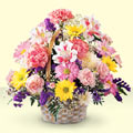  Ankara K�z�lay �i�ek yolla , �i�ek g�nder , �i�ek�i   sepet i�erisinde g�l ve mevsim