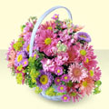  Ankara K�z�lay hediye �i�ek yolla  bir sepet dolusu kir �i�egi  K�z�lay �i�ek�iler 