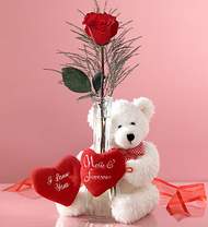  tek g�l ve oyuncak pelus  K�z�lay �i�ek sipari�i vermek 
