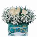 mika ve beyaz g�l renkli taslar   K�z�lay cicek , cicekci 