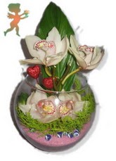fanus i�erisinde 4 orkide  K�z�lay �i�ek online �i�ek sipari�i 