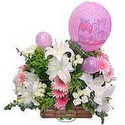 balon ve �i�eklerle tanzim  K�z�lay �i�ek online �i�ek sipari�i 