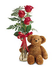 oyuncak ve güller tanzim   Ankara Kızılay online çiçek gönderme sipariş 