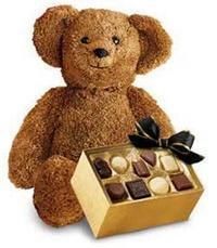�ikolata ve oyuncak ayicik  K�z�lay uluslararas� �i�ek g�nderme 