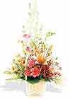  K�z�lay �i�ek�iler  sepet i�erisinde karma �i�ek