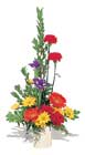 ince vazoda narin �i�ekler   Ankara K�z�lay yurti�i ve yurtd��� �i�ek sipari�i 