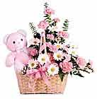  Ankara K�z�lay kaliteli taze ve ucuz �i�ekler  oyuncak bir pelus ve sepet