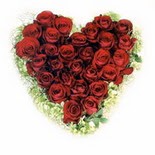 kalp bi�iminde 15 g�lden   K�z�lay ucuz �i�ek g�nder 
