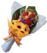 g�ller ve gerbera �i�ekleri   K�z�lay �i�ek�iler 