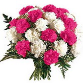 13 adet renkli karanfil buket   K�z�lay �i�ek�iler 