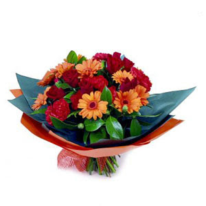 g�l gerbera ve karanfiller   K�z�lay �i�ek�iler 