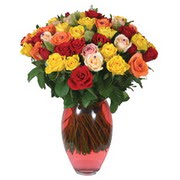 51 adet g�l ve kaliteli vazo   K�z�lay �i�ek�iler 