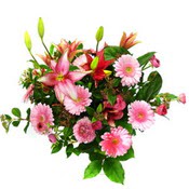lilyum ve gerbera �i�ekleri - �i�ek se�imi -  K�z�lay �i�ek sipari�i vermek 