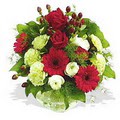 karanfil gerbera ve g�ller - d�s�nenelere �zel -  K�z�lay �i�ek sipari�i vermek 