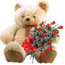 kocaman ayicik ve 10 g�l   Ankara K�z�lay cicekciler , cicek siparisi 