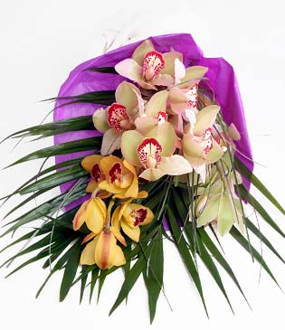  Kzlay online ieki , iek siparii  1 adet dal orkide buket halinde sunulmakta