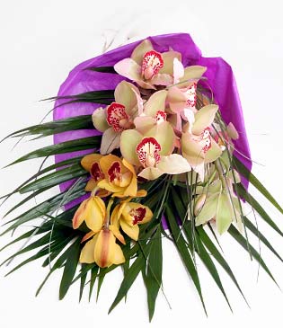  K�z�lay online �i�ek�i , �i�ek sipari�i  1 adet dal orkide buket halinde sunulmakta