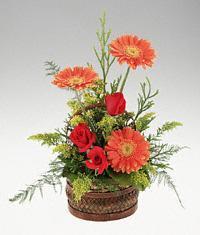  K�z�lay online �i�ek�i , �i�ek sipari�i  sepet i�erisinde 3 g�l ve 3 gerbera tanzimi