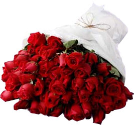 41 adet en sade g�l buketi   K�z�lay online �i�ek�i , �i�ek sipari�i 
