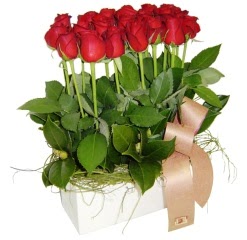 Ankara K�z�lay yurti�i ve yurtd��� �i�ek sipari�i  12 adet kirmizi g�llerden sepet tanzimi