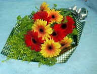 t�l i�erisinde gerbera �i�ekleri 11 adet  Ankara K�z�lay yurti�i ve yurtd��� �i�ek sipari�i 