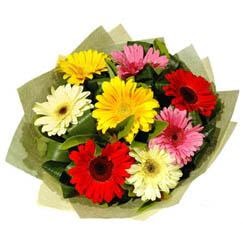 9 adet karisik gerbera demeti  K�z�lay �i�ek sat��� 
