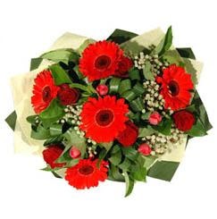  K�z�lay uluslararas� �i�ek g�nderme   5 adet kirmizi g�l 5 adet gerbera demeti