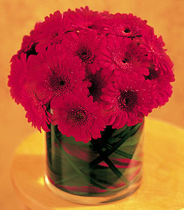  Kızılay uluslararası çiçek gönderme  23 adet gerbera çiçegi sade ve sik cam içerisinde