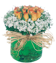  Kızılay çiçek online çiçek siparişi  Cam yada mika içerisinde 9 adet  gül aranjmani