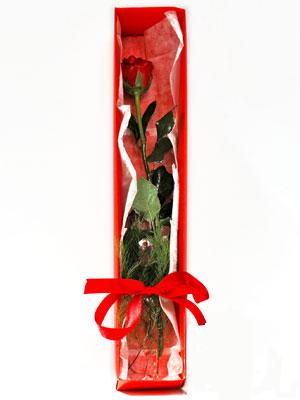  Ankara Kızılay hediye çiçek yolla  1 adet kutuda gül