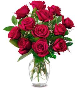  Ankara Kızılay güvenli kaliteli hızlı çiçek  1 düzine kirmizi gül sevenlere özel vazo gülleri