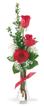  Kızılay online çiçekçi , çiçek siparişi  mika yada cam vazoda 3 adet kirmizi gül