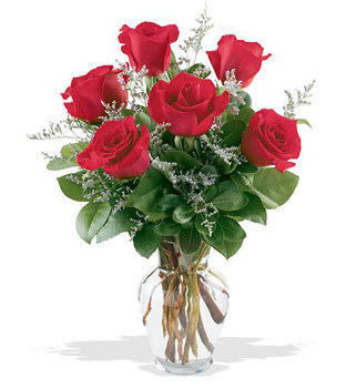  Kızılay online çiçekçi , çiçek siparişi  cam yada mika vazoda 6 adet kirmizi gül