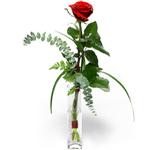  Ankara Kızılay online çiçek gönderme sipariş  1 adet kirmizi gül cam yada mika vazo içerisinde