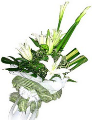  K�z�lay ucuz �i�ek g�nder  3 dal kazablanka �i�egi ve yesillikler