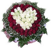  Kızılay çiçek satışı  27 adet kirmizi ve beyaz gül sepet içinde
