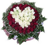  K�z�lay �i�ek sat���  27 adet kirmizi ve beyaz g�l sepet i�inde