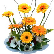 camda gerbera ve mis kokulu kir �i�ekleri  Ankara K�z�lay online �i�ek g�nderme sipari� 