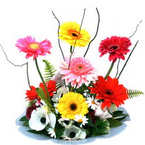  Ankara K�z�lay 14 �ubat sevgililer g�n� �i�ek  camda gerbera ve mis kokulu kir �i�ekleri 