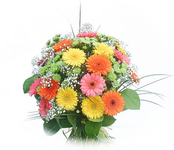 13 adet gerbera �i�egi buketi  Ankara K�z�lay g�venli kaliteli h�zl� �i�ek 