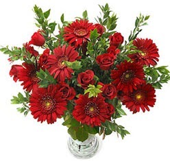 5 adet kirmizi g�l 5 adet gerbera aranjmani  Ankara K�z�lay 14 �ubat sevgililer g�n� �i�ek 