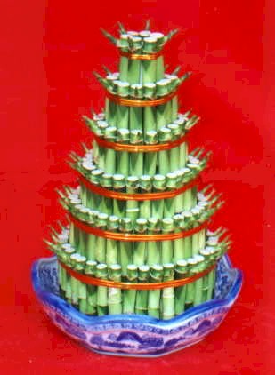 Lucky Bamboo sans melegi �i�egi  Ankara K�z�lay �i�ek servisi , �i�ek�i adresleri 